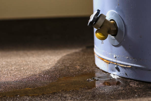 Best Water damage restoration near me  in , NV