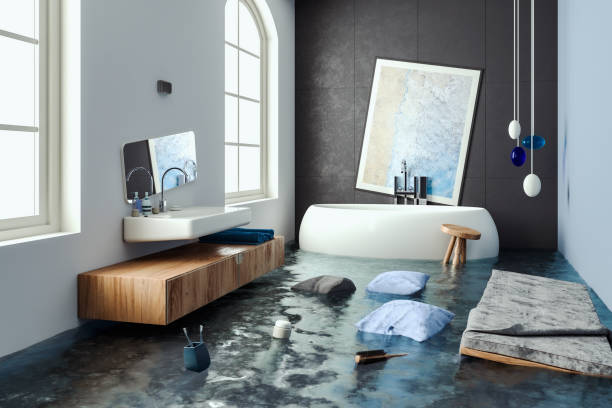  , NV Water damage restoration Pros
