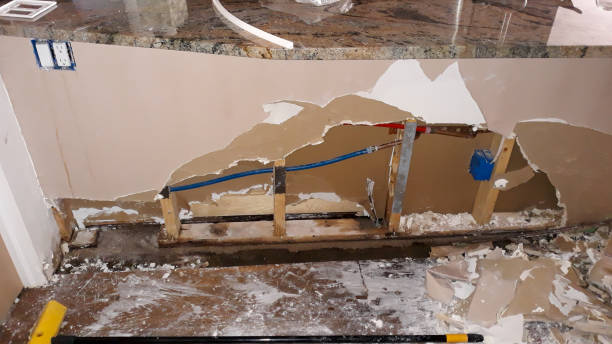 Best Water damage restoration near me  in , NV