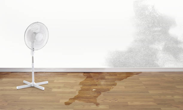  , NV Water damage restoration Pros