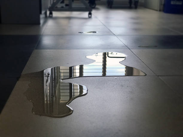 Best 24/7 water damage repair  in , NV