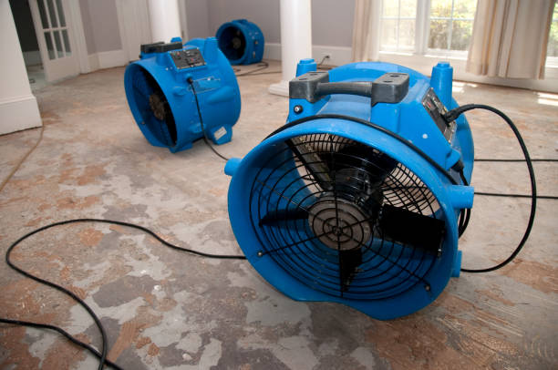 Best Water damage cleanup near me  in , NV