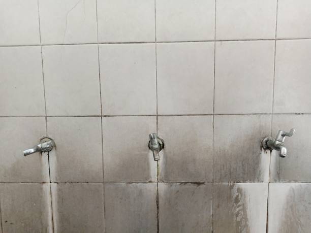Best Professional water damage repair  in , NV