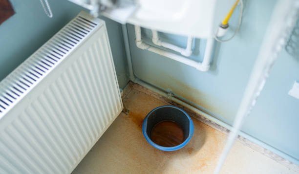 Best Fire Damage Restoration  in , NV