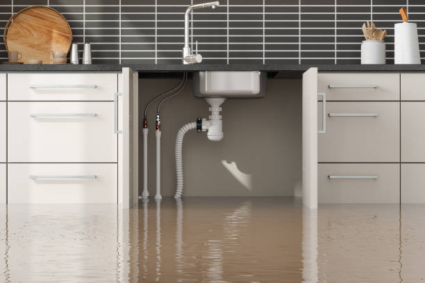 Best Emergency water damage restoration  in , NV