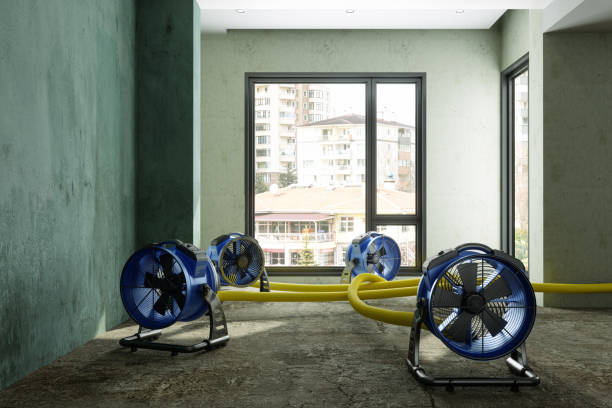 Best Ceiling water damage repair  in , NV