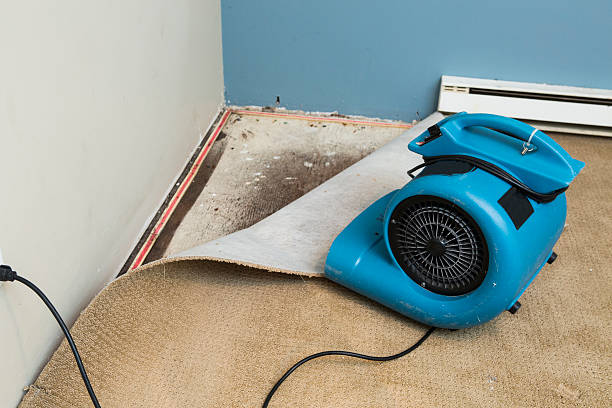 Best Water damage restoration near me  in , NV