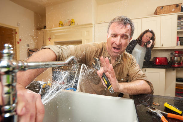 Best Basement water damage restoration  in , NV